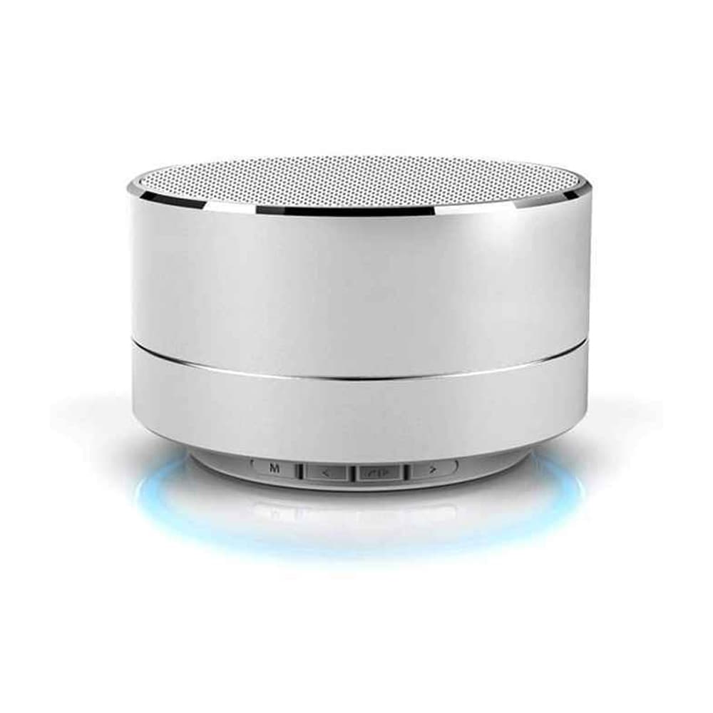 Reekin Marlin Bluetooth-högtalare – Silver